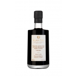 Modena Balsamic Vinegar