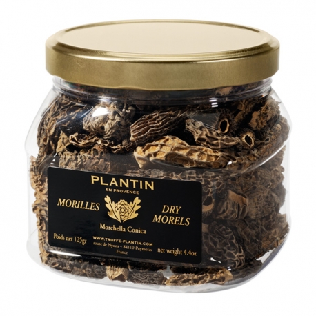 Dry Morels Morchela Conica