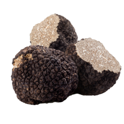 Fresh Summer Truffles